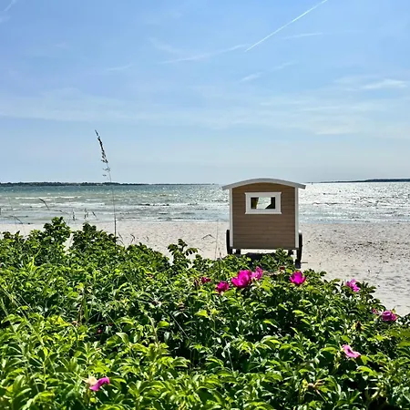度假居 Immi's Hus - Strandhaus Mit Garten 格吕克斯堡