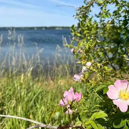 Vakantiehuis Immi's Hus - Strandhaus Mit Garten Holnishof