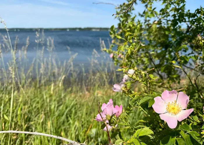 Hébergement de vacances Immi's Hus - Strandhaus Mit Garten Glücksburg