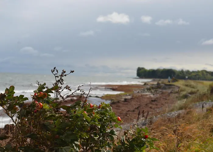 Hébergement de vacances Immi's Hus - Strandhaus Mit Garten Glücksburg